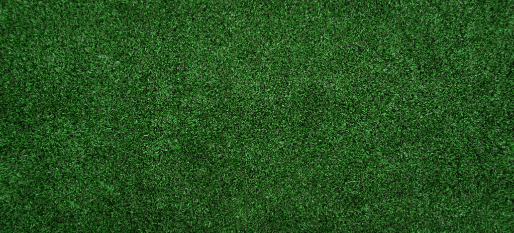 Intervention planned after exam riddled student cuts across the Kidney&nbsp;Lawn.